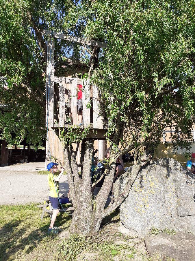 foto13
