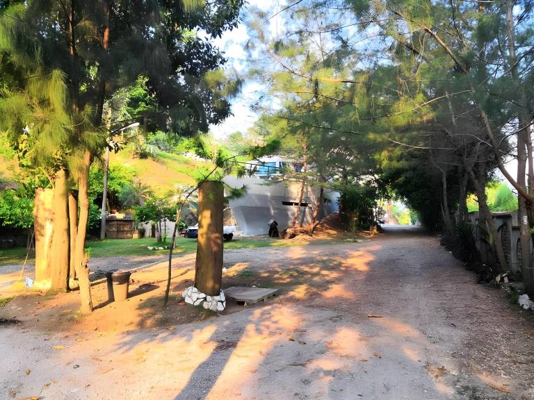 foto41