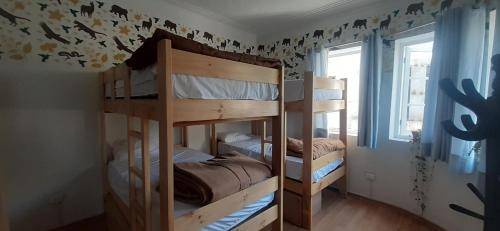 foto20