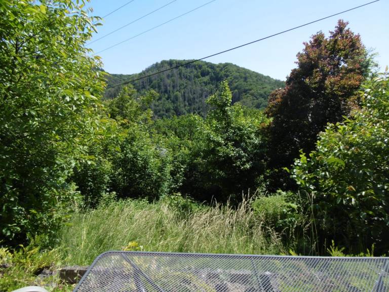 foto11