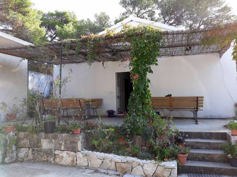 Apartment Saplunara