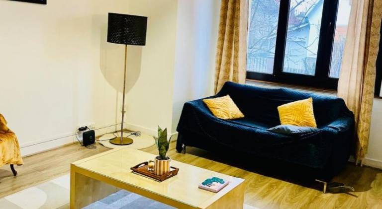 Lovely rental apartment | Dogs allowed in Ostwald