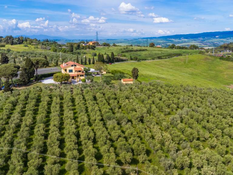 foto71