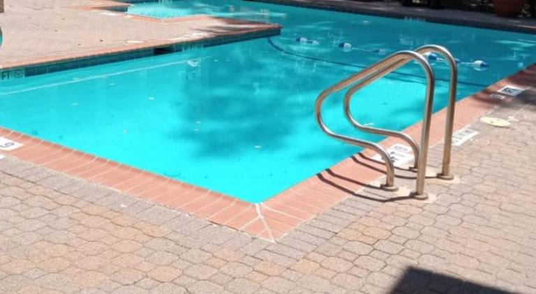 Fully equipped beautiful apartment with yard, patio & pool | Pet-friendly — photo 3