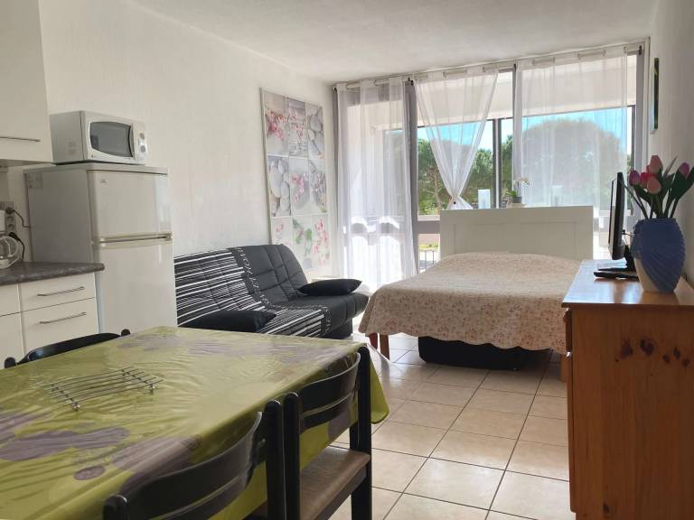Appartement Balaruc-les-Bains