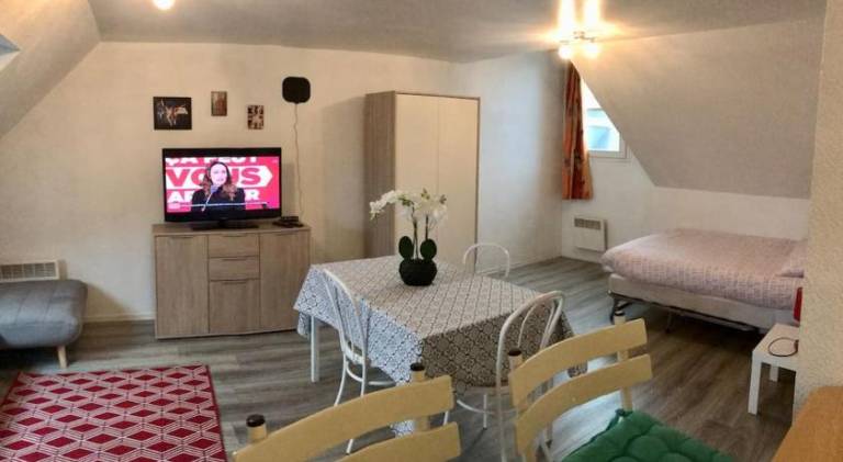Holiday apartment with 1 room for 3 persons in Le Mans
