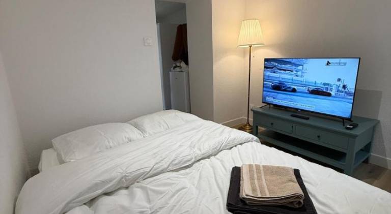 Charming holiday apartment | Pets allowed in Belfort
