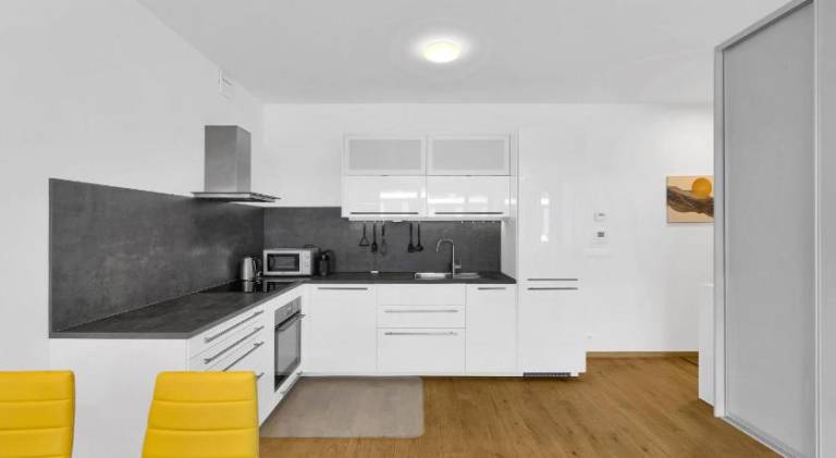 Apartment | Close to Bratislava Castle | Dogs allowed — photo 4