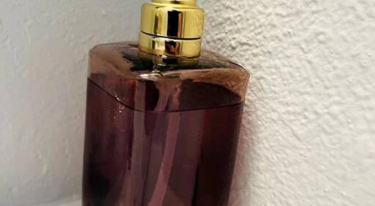 foto19