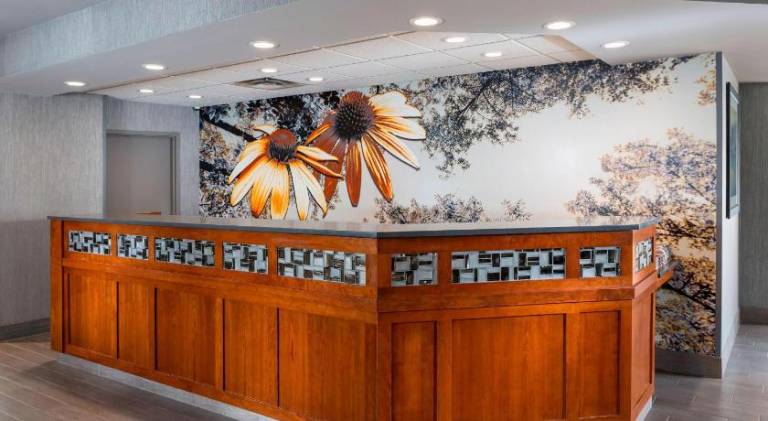 Residence Inn by Marriott Bloomington by Mall of America — photo 5