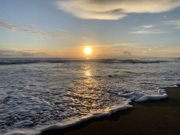 Villa Tamarindo