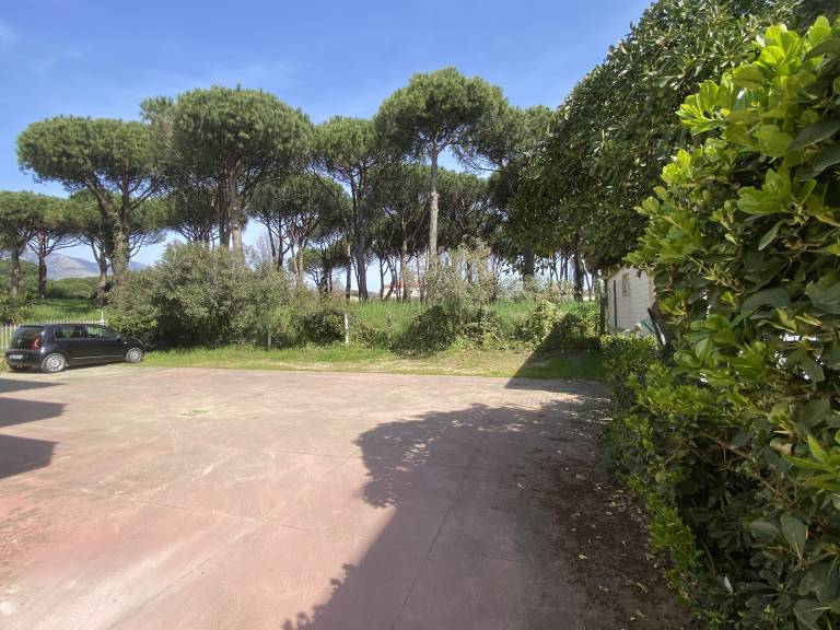 foto23