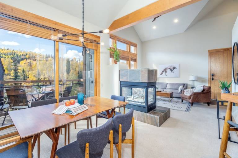 Condo  Telluride