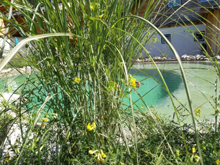 House with yard, patio & pool | Nature view — photo 5