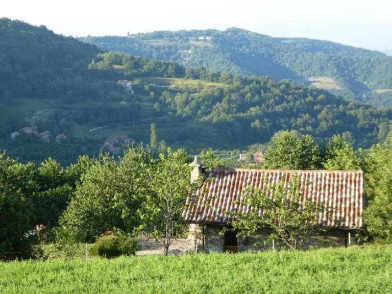 foto40