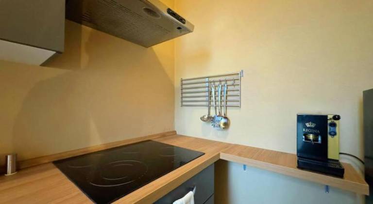 Apartment with 1 room for 4 persons — photo 5