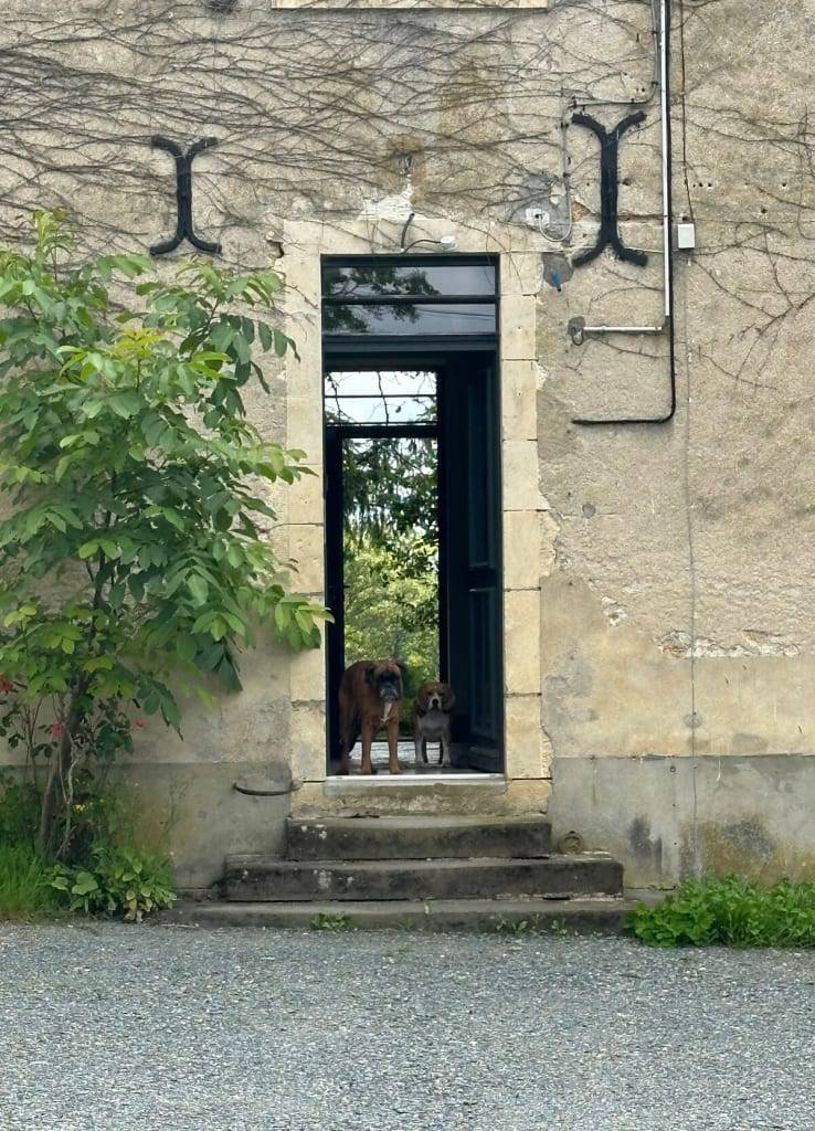 foto34