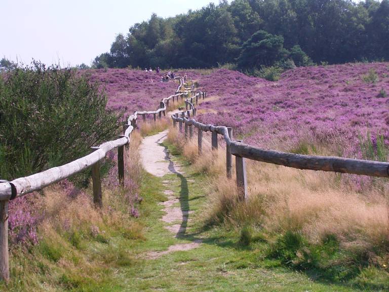 Ferienhaus in Koekange, Niederlande f&uuml;r max. 6 Personen