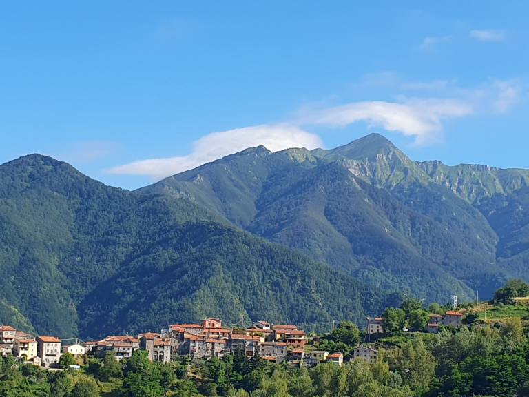 foto49