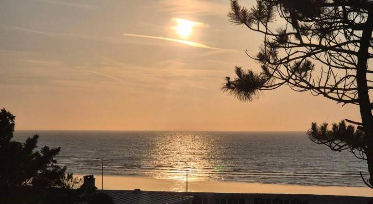 Fully equipped charming vacation home with patio, yard & BBQ | Close to the beach | Pets allowed in Dieppe