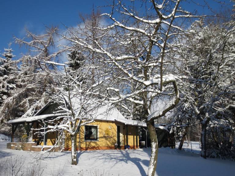 foto11