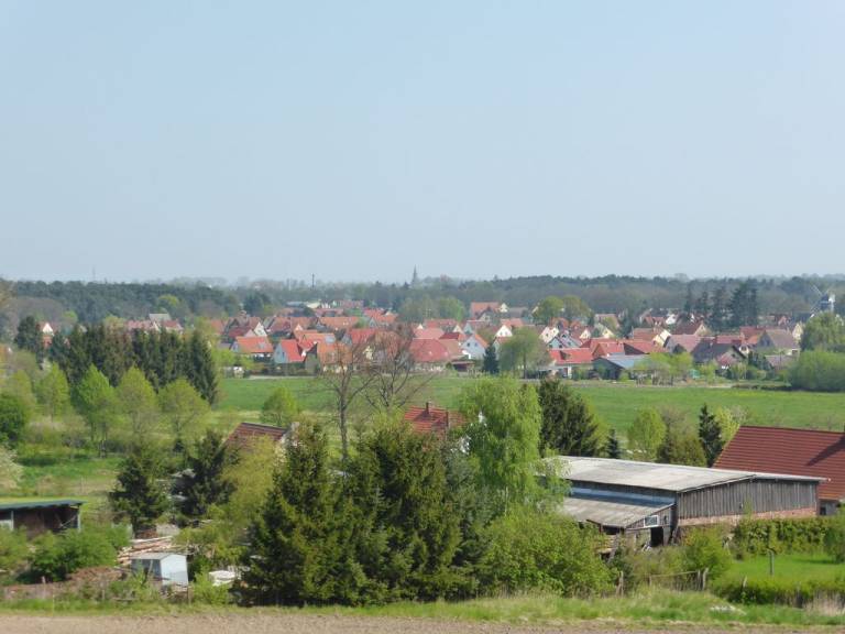 foto12