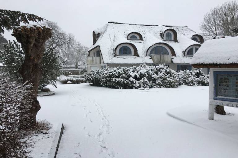Ferienhaus Zingst