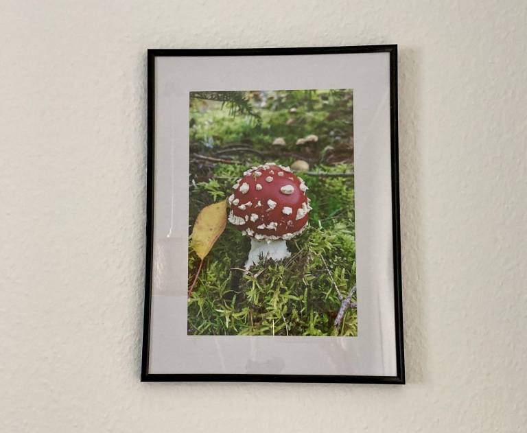 foto19