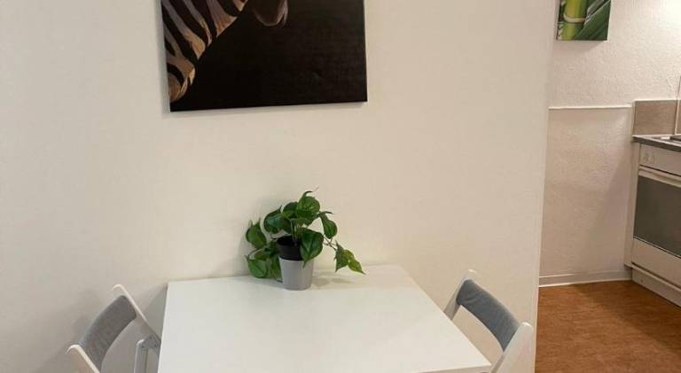 Holiday apartment | Near Basel Minster — photo 4