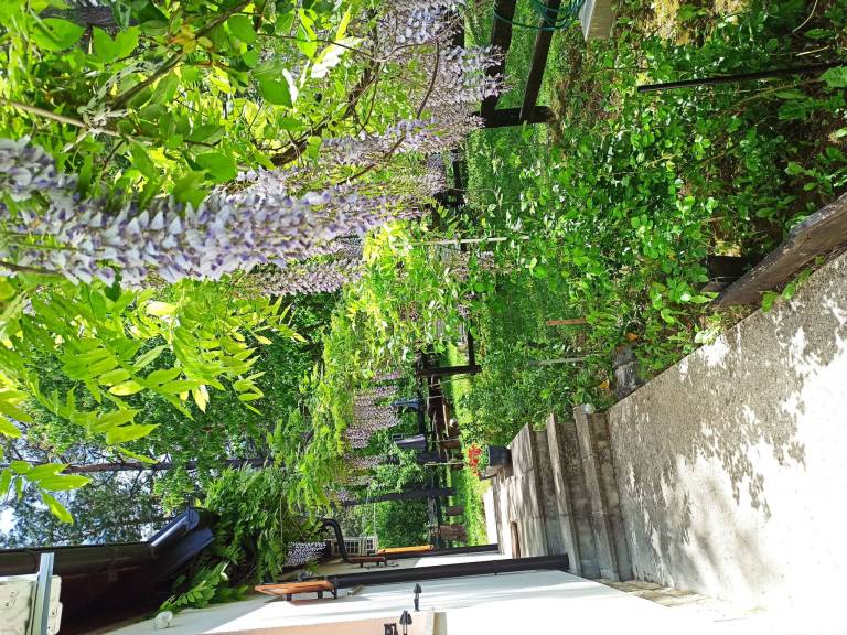 Vacation home with yard, terrace & barbeque | Mountain view — photo 4