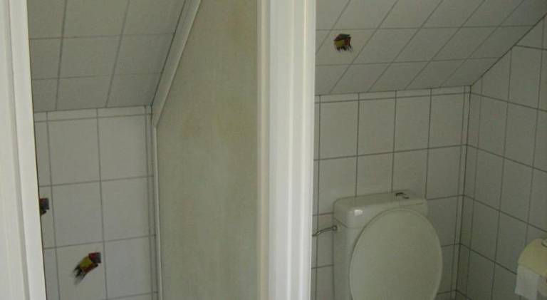 foto7