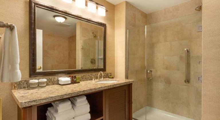 Embassy Suites by Hilton Savannah Historic District — photo 2