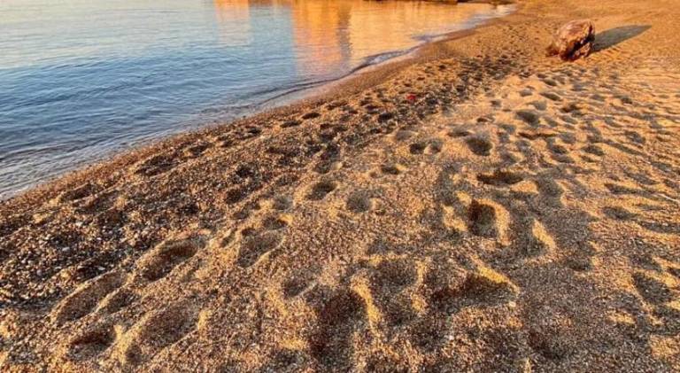 Holiday apartment with 2 rooms for 5 persons in Bagheria