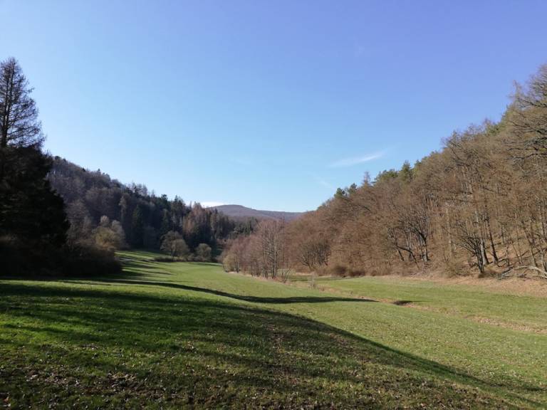 foto34