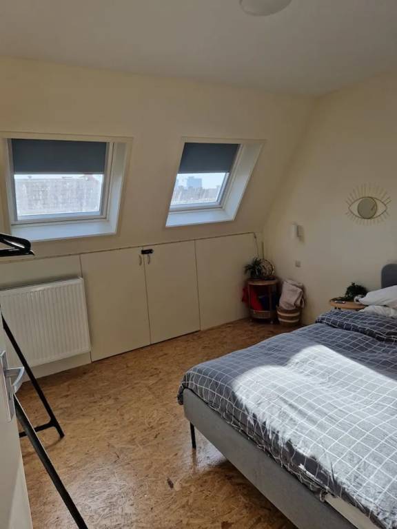 foto11