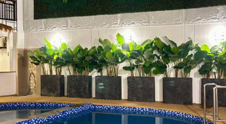 Serene Rise Hotel — photo 2