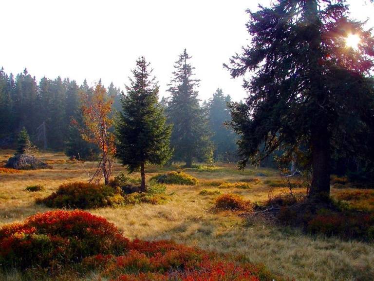 foto21