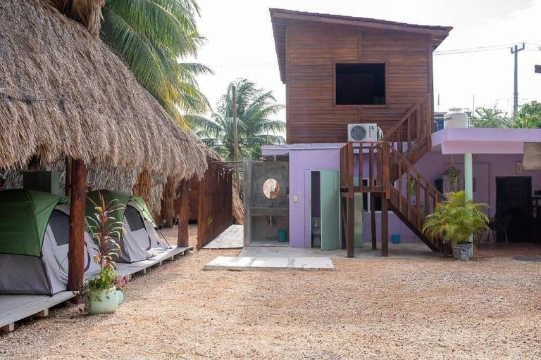 Mapache Hostel — photo 5