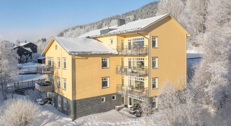 Holiday apartment with sauna | Next to the ski | Pets allowed in Are