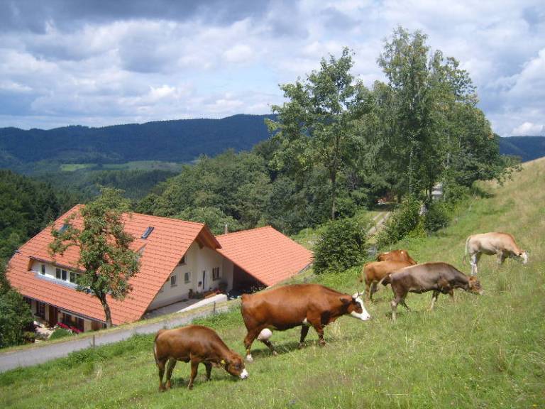 foto15