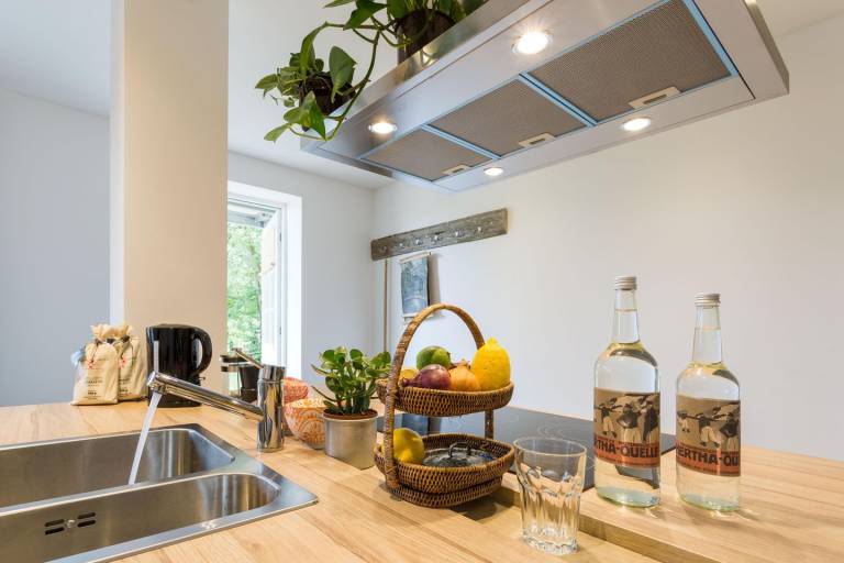 Herthaquelle Appartements  - Wohnung 1 "Studio H" — photo 4