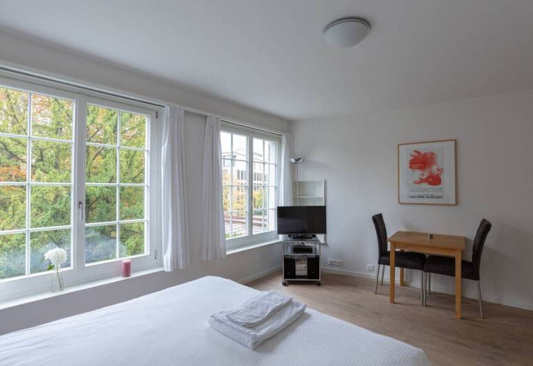 Apartment Wiedikon