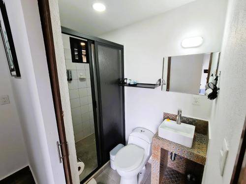 foto12