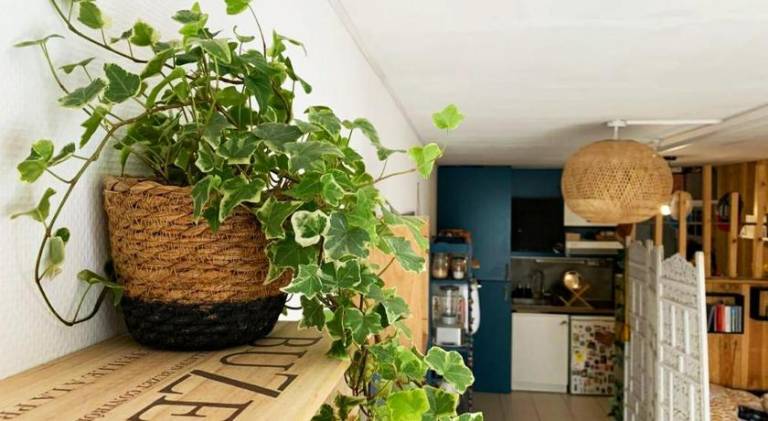 Apartment with terrace — photo 4