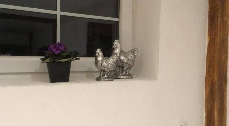 Rental apartment with 2 rooms for 5 persons in Euskirchen