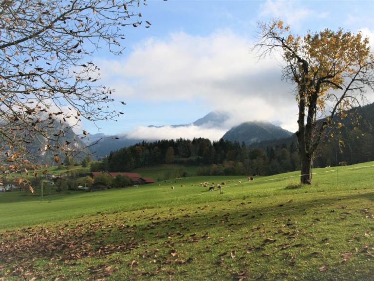 foto17