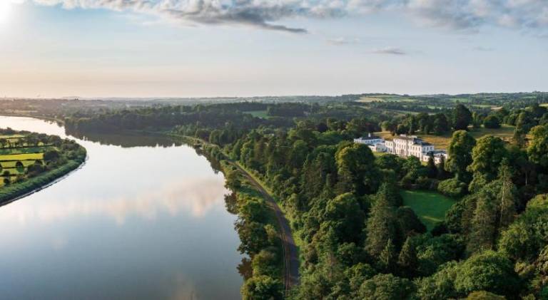 The Forest at Mount Congreve Gardens