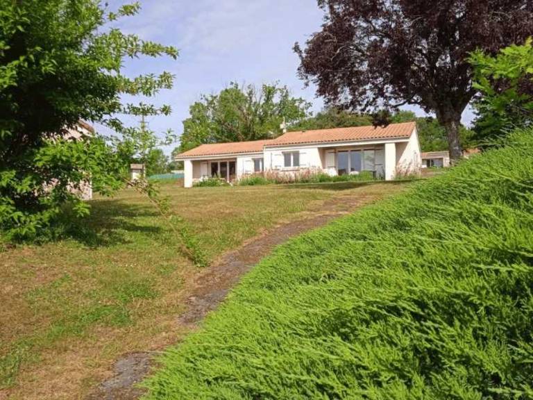 foto1