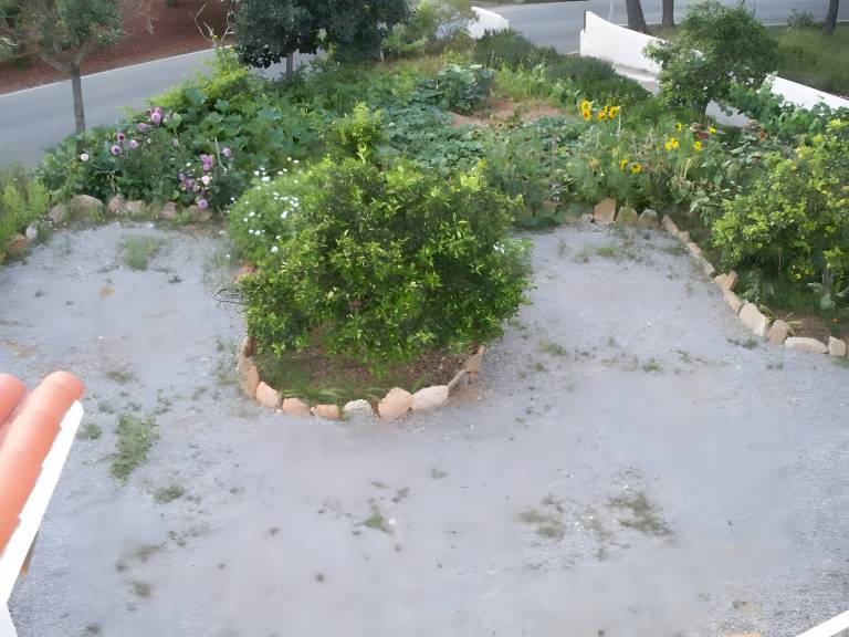 foto2