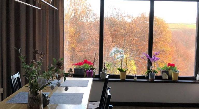 Lodge with garden, grill & terrace — photo 5